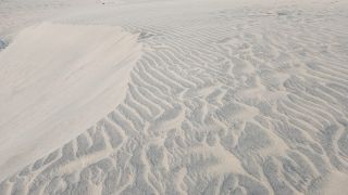 GC-Playa de Maspalomas 2026-128.jpg